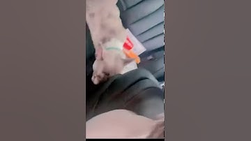 DDG X Blueface (Snippet🔥🔥)