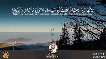 سورة التحريم SURAH AT-Tahrim #عبدالولي_الاركاني #ABDULWALI_ALARKANI