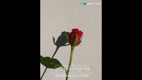 ولا تخزني يوم يبعثون // من سورة الشعراء// القارئ ناصر القطامي