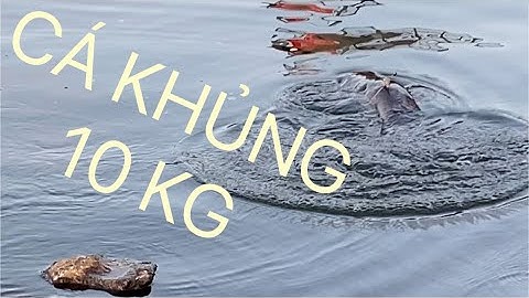 CÂU CÁ | ĐIỀU KỲ DIỆU XẢY RA KHI ĐẬP THỦY ĐIỆN NGƯNG XÃ LŨ | @Chung Huynh Fishing Tv