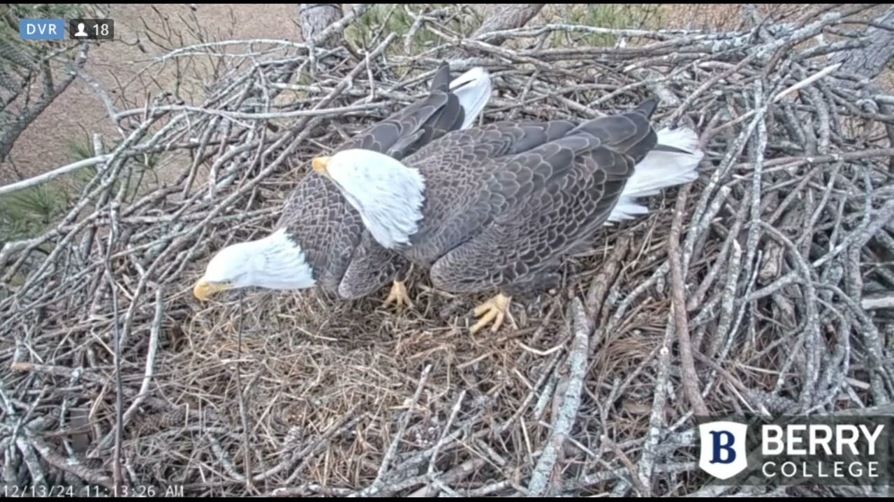 Berry College Eagles~Pa & Missy's Morning Visit_12/13/24
