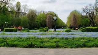 Springtime in Cismigiu Gardens - Bucharest, Romania