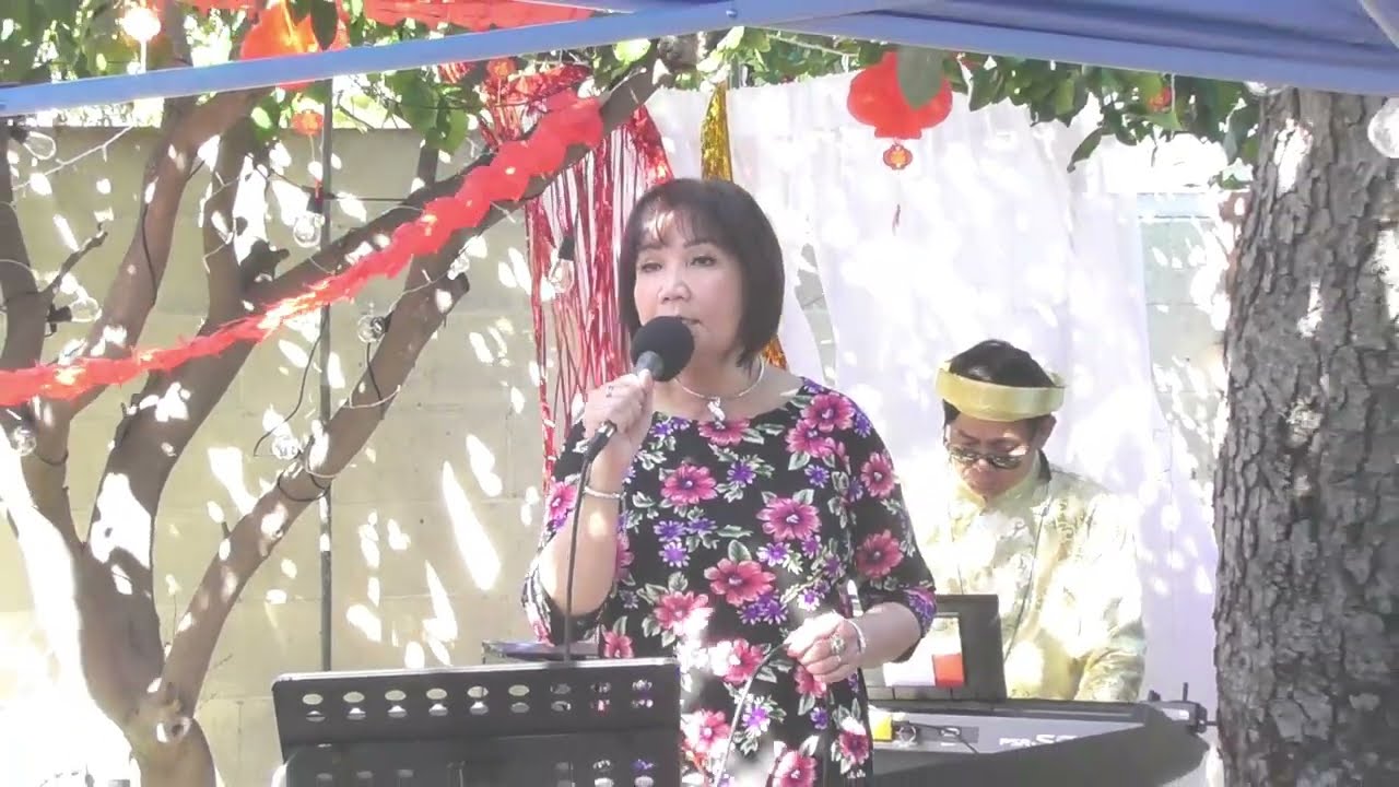 Gác Nhỏ Đêm Xuân (Minh Kỳ & Lê Dinh) - Cẩm Vân