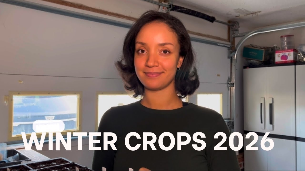 Winter Crop Plans + Intro to Seed Starting Basics