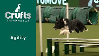 Agility - Crufts Novice Cup Final (Jumping) - Part One | ​Crufts 2023