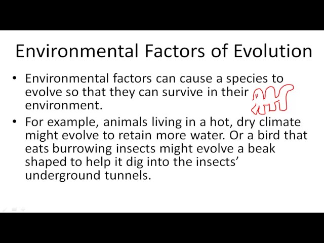 Examples Of Environmental Factors