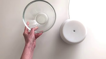 How to Clean Your doTERRA Petal Diffuser