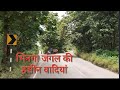 Beautiful View Of Bhinga Jungle Beautiful Scene Of Bhinga Jungle Beautiful View Of Bhinga Jungle Beautiful Scene Of Bhinga Jungle
