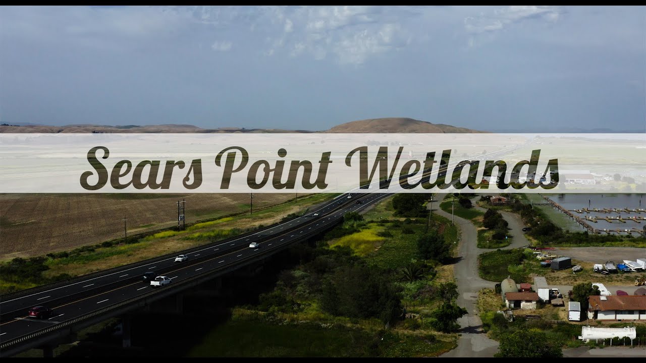Sears Point Map Sears Point Wetlands - YouTube