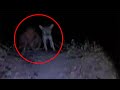 5 Scary Videos That Are Freaking Creepy