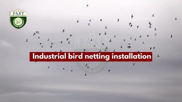 Industrial Bird Netting Installation Process in Hyderabad - Fast Safety Nets