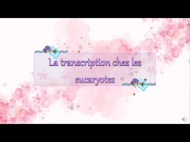La transcription chez les eucaryotes