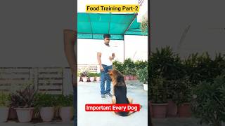 Food Training Part 2#dogshorts #dog #trendingshorts #germanshepherd #haveitoldyoulatelythatiloveyou