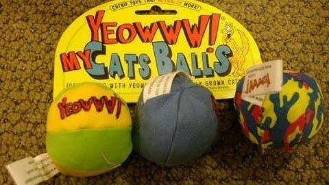 Cats on Catnip - Yeowww! My Cats Balls ねこ - ラグドール - Floppycats