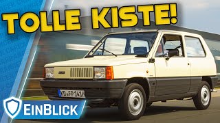 Fiat Panda 34 (1984)  TOLLE KISTE! Ein Auto für alle, die kein Auto wollen.