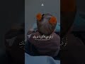 ابنيتي ان قيل مانهج الهدى