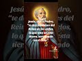 ¿Porqué Pedro es el Vicario de Jesús? Roca, Pastor y Autoridad