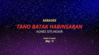 AGNES SITUNGKIR - TANO BATAK HABINSARAN | FEMALE KARAOKE | KUNCI : C