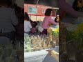 Free Delicious dessert at the temple