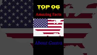 Top 6 Amazing Facts About Guava