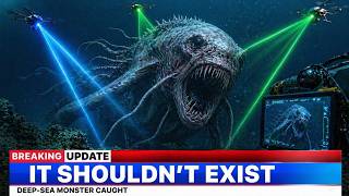 Deep Sea Camera Captured Something Off Japan — It Shouldn't Exist