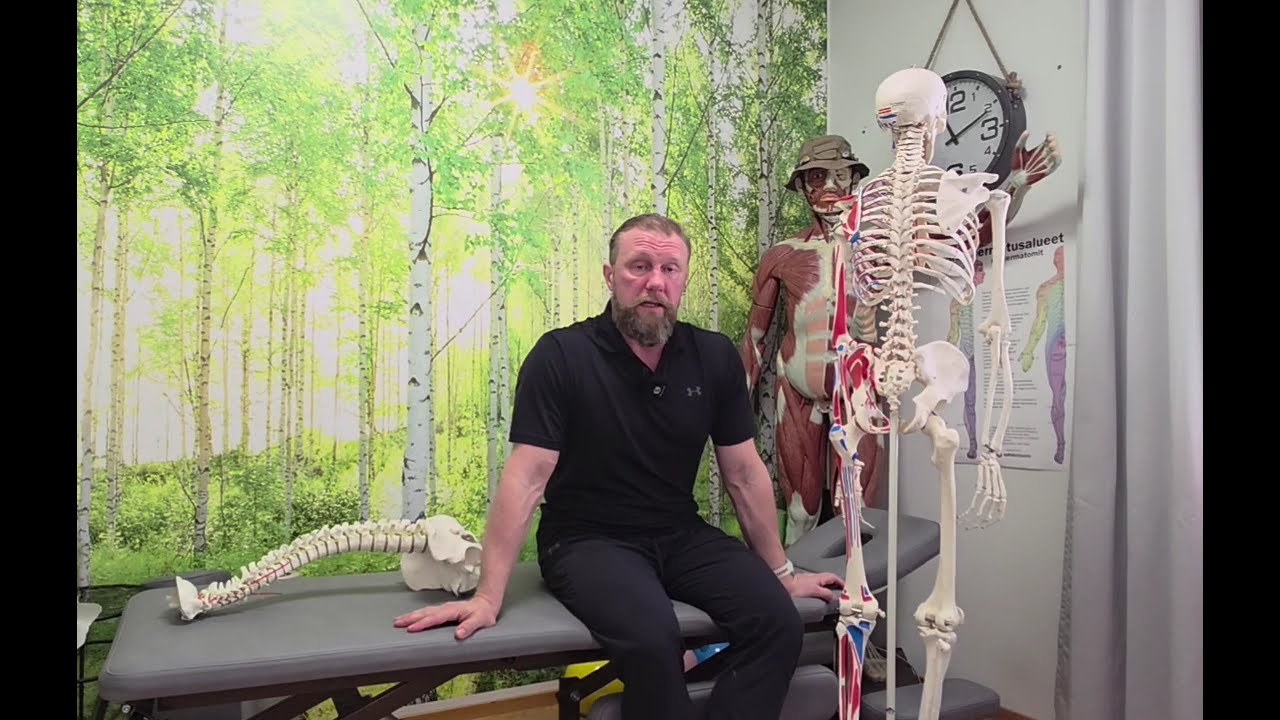 3. Miten lantion asento vaikuttaa selkäongelmiin? Entä lonkkaniveleen, polviin tai hartioihin?