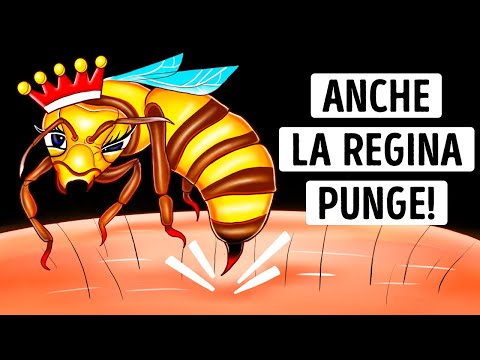 Video: La puntura d'ape è dannosa?