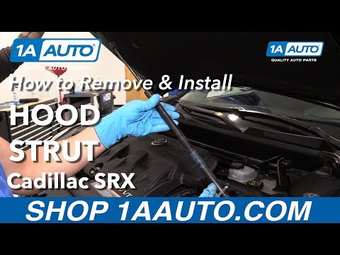 How to Replace Hood Struts 2010-13 Cadillac SRX
