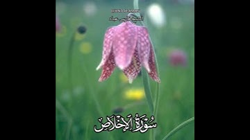 سورة الإخلاص | الشيخ فارس عباد،، تلاوه خاشعه*- اللهمّ إنّك عَفو كريمٌ تُحب العَفو فاعفُ عنّا ..✨*(5)