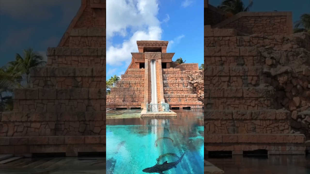 The Shark Slide That Wasn’t So Scary #shortsfeed