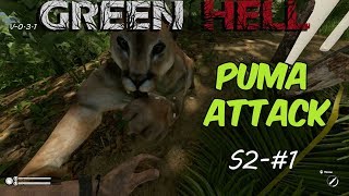 puma green hell