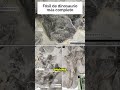 ¡Hallazgo histórico! Fósil de dinosaurio más completo encontrado en Escocia