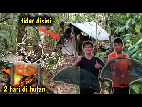 Video: Cara Bermalam Di Hutan