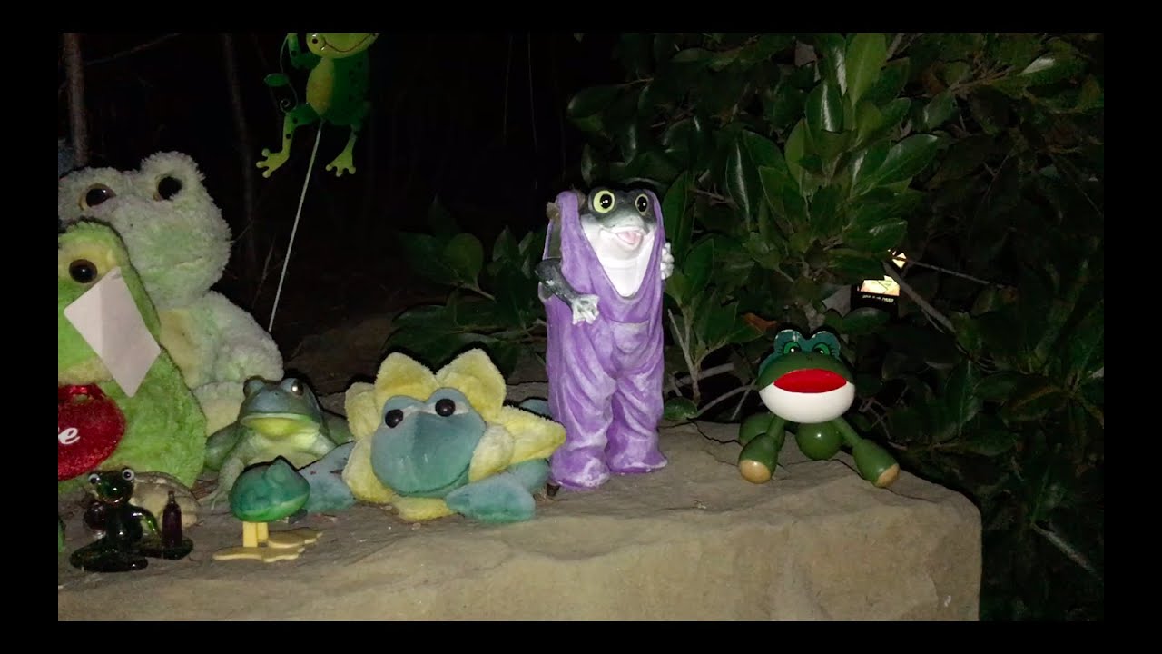 Tacocat - The Joke of Life [OFFICIAL VIDEO]