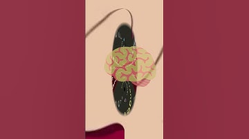 When I go to sleep 😅😂 #programming #coder #funny #fullstackdevelopers