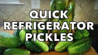 Quick Garlic Dill Refrigerator Pickles