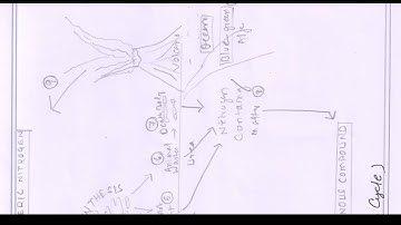 LSE -02 SOLVED ASSIGNMENT ( ECOLOGY) -2019