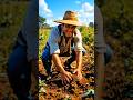 The Hardworking Farmer – A Story of Dedication & Dreams#funny#ai#shortfeed#shorts#shorts