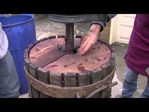 Home Winemaking Chicago Style!