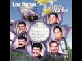 LOS BUHOS DE MEXICALI.....CELEBREMOS.wmv