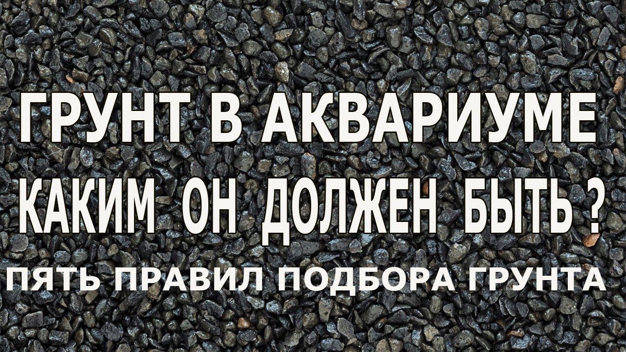 Грунт в аквариуме , каким он должен быть? - YouTube
