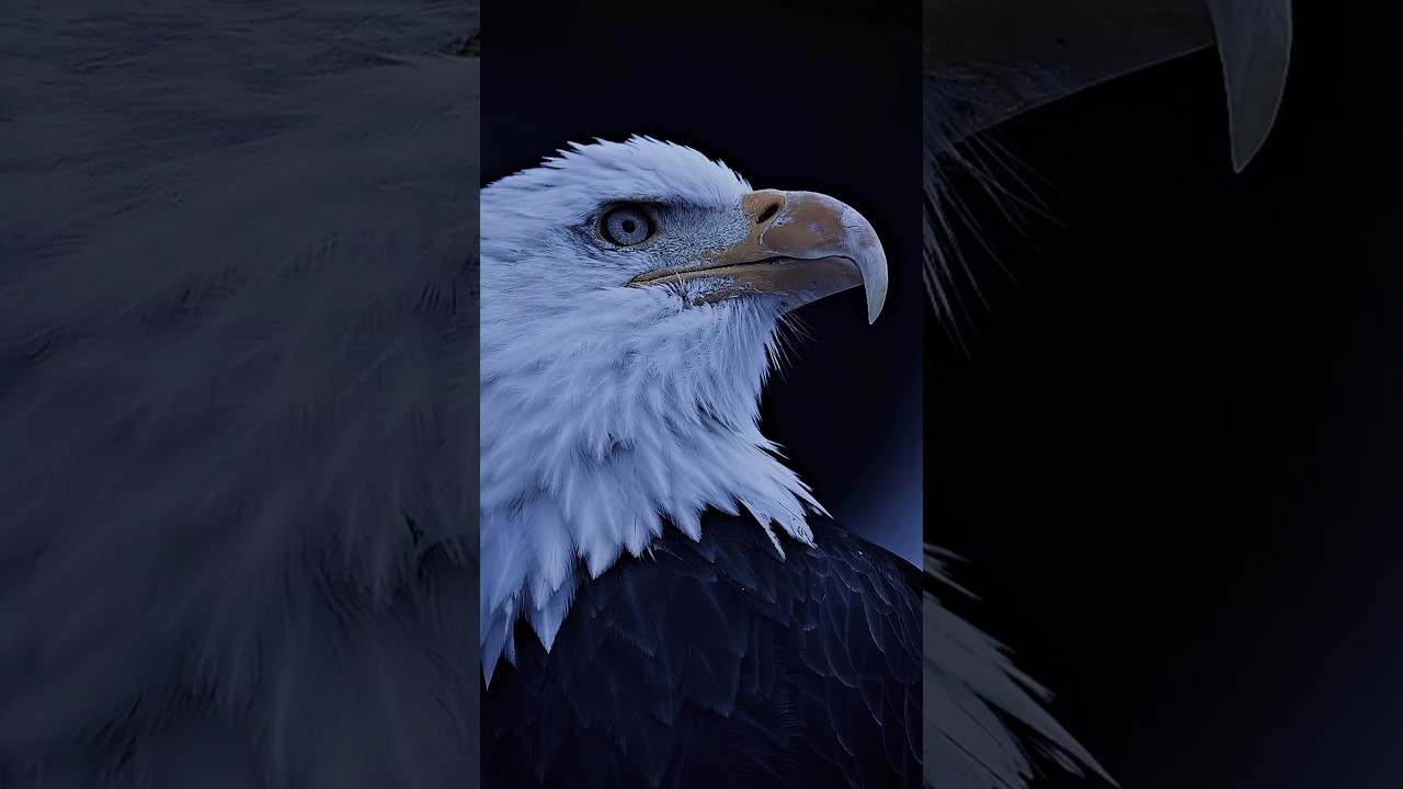 mystery of cango jungle 😱😱 