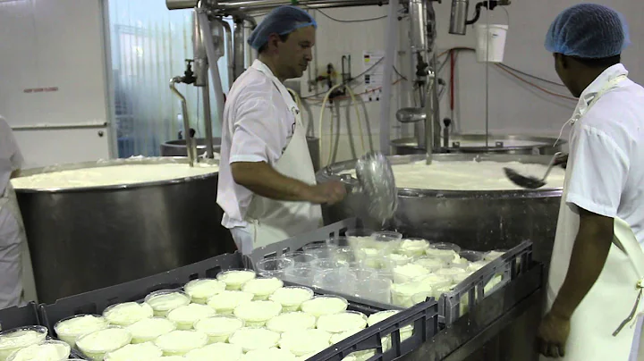 Behind the scenes - Floridia Cheese factory