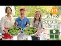 Betty's organic farm (1/3) #オーガニック #クッキング #野菜 #健康 #有機
