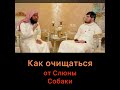 Как очищаться от слюны собаки