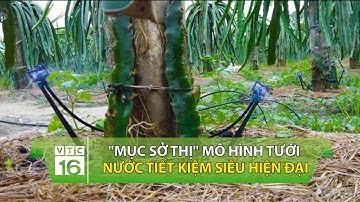 "Mục sở thị" mô hình tưới nước tiết kiệm siêu hiện đại | VTC16