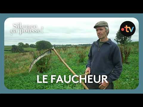 Le fauchage à la main - Silence, ça pousse !
