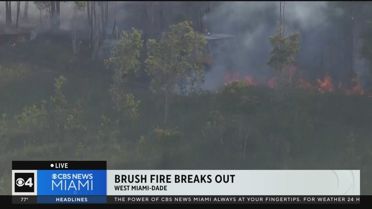 Brush fire burns in West Miami-Dade - YouTube