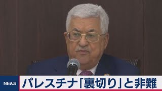 パレスチナ「裏切り」と非難（2020年8月14日）