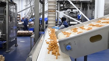 BCA Fish Processing Plant Equipment - Boston Conveyor & Automation